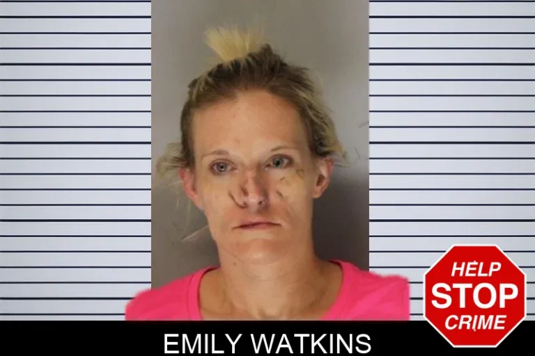 Emily Watkins mugshot β Hall County , Georgia Emily Watkins