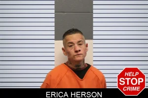 Erica Herson mugshot