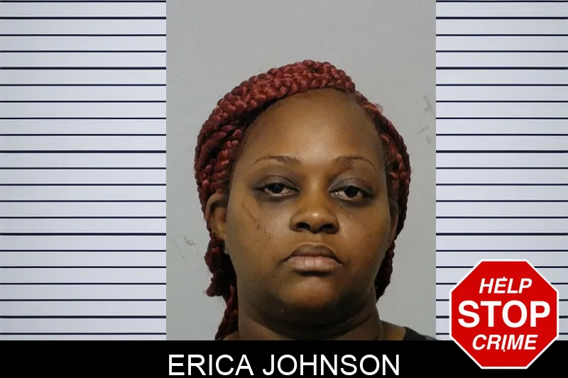 Erica Johnson mugshot – Bibb County , Georgia Erica Johnson mugshot