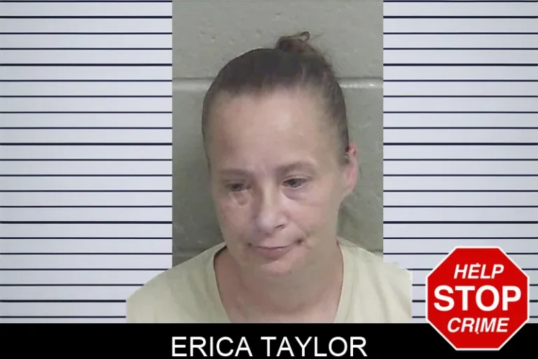 Erica Taylor mugshot – Wayne County , Georgia Erica Taylor
