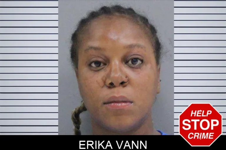 Erika Vann mugshot – Rabun County , Georgia Erika Vann