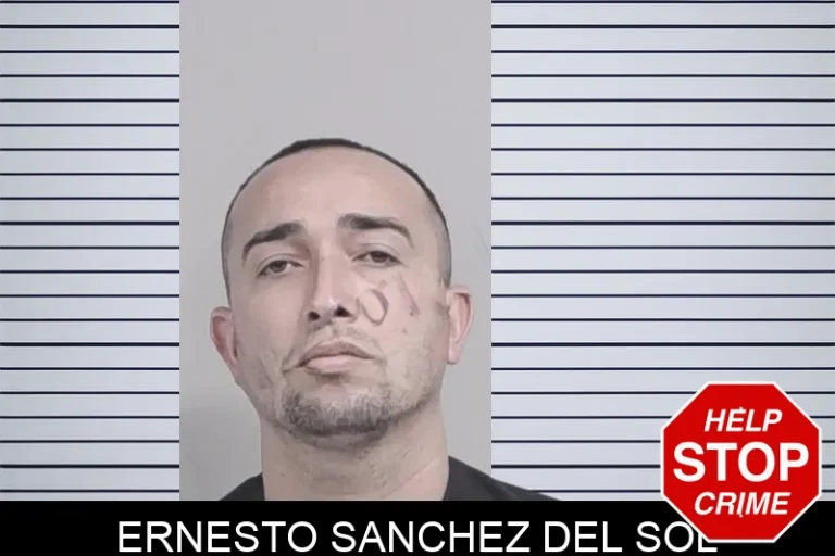 Ernesto Sanchez Del Sol