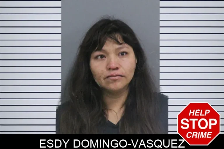 Esdy Domingo-Vasquez
