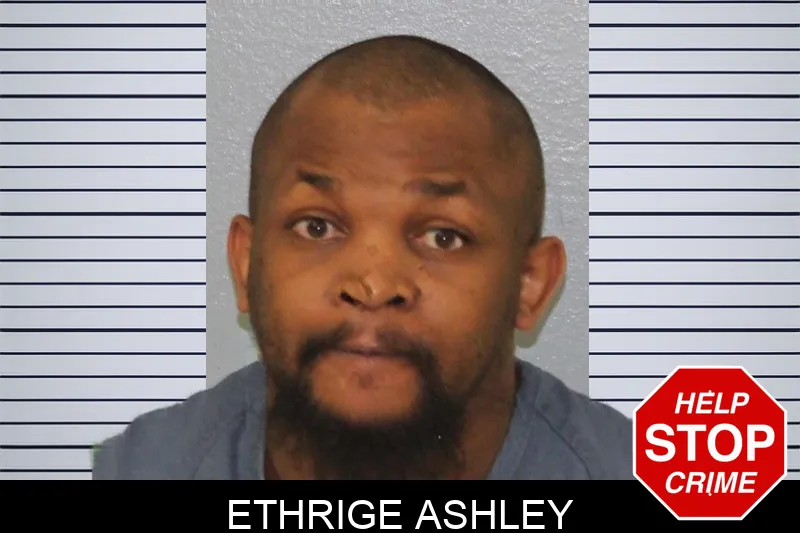 Ethrige Ashley Mugshots