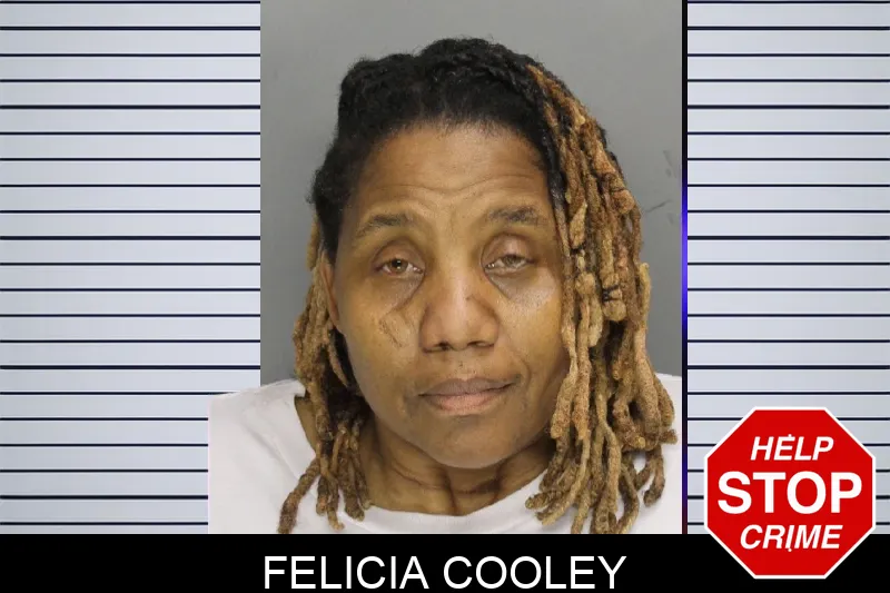 Felicia Cooley Mugshots
