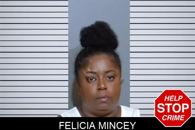 Felicia Mincey mugshot – Glynn County , Georgia Felicia Mincey