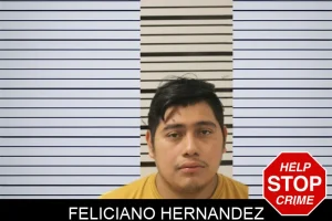 Feliciano Hernandez mugshot