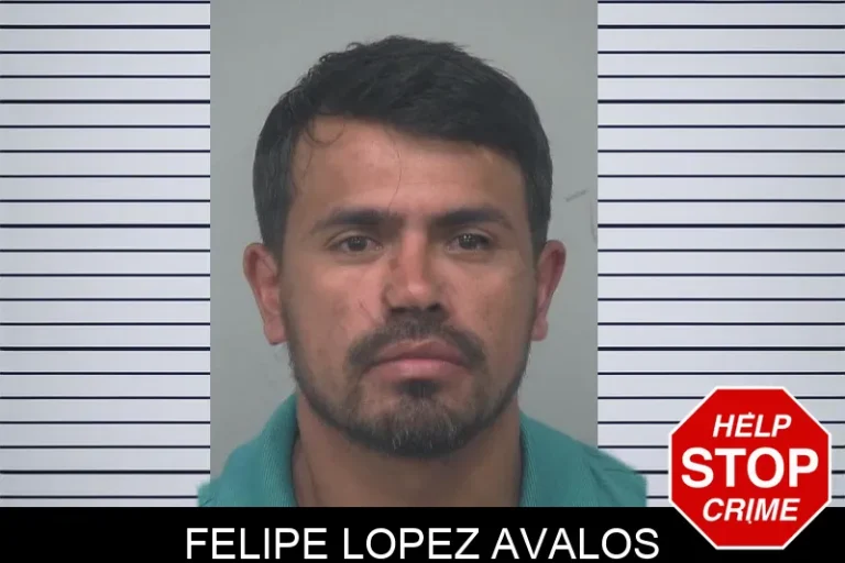Felipe Lopez Avalos