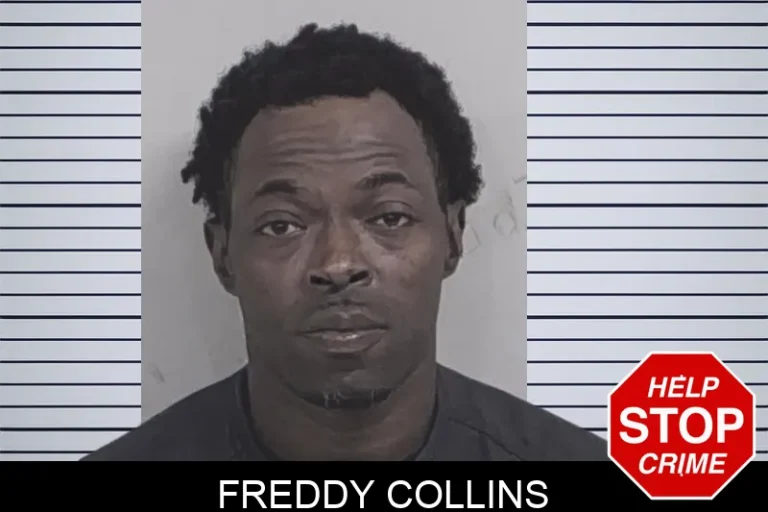 Freddy Collins mugshot – Lowndes County , Georgia Freddy Collins