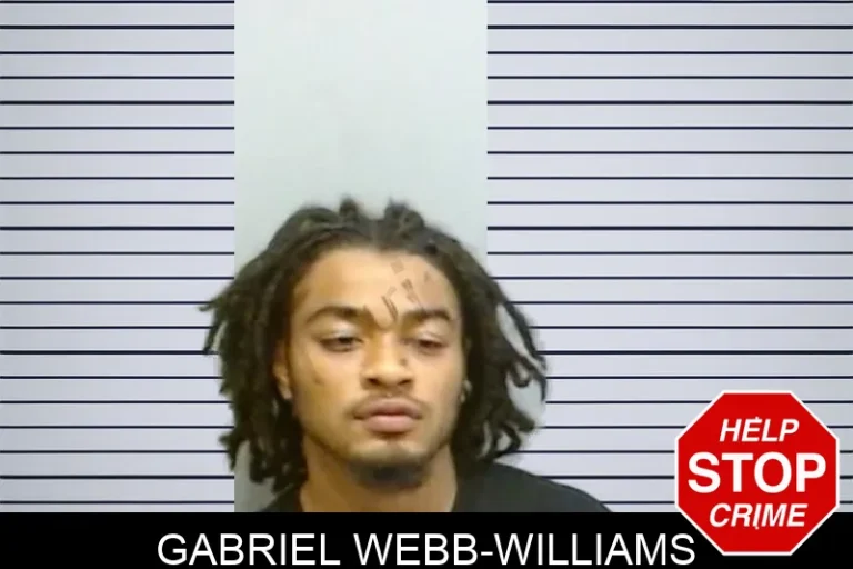 Gabriel Webb-Williams
