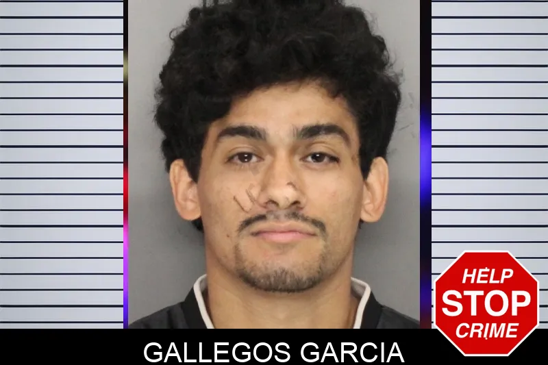 Gallegos Garcia mugshot