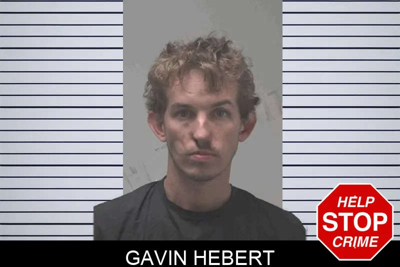 Gavin Hebert Mugshots