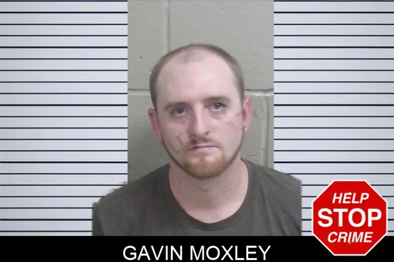 Gavin Moxley