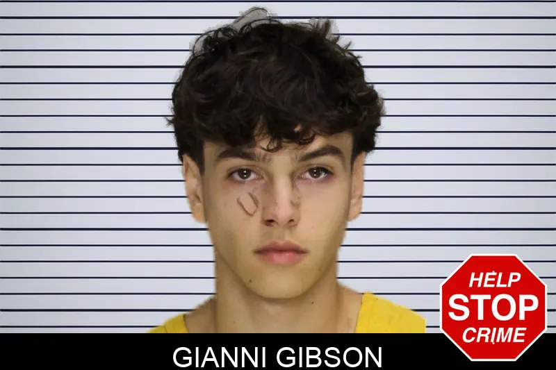 Gianni Gibson mugshot