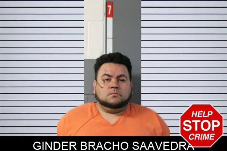 Ginder Bracho Saavedra