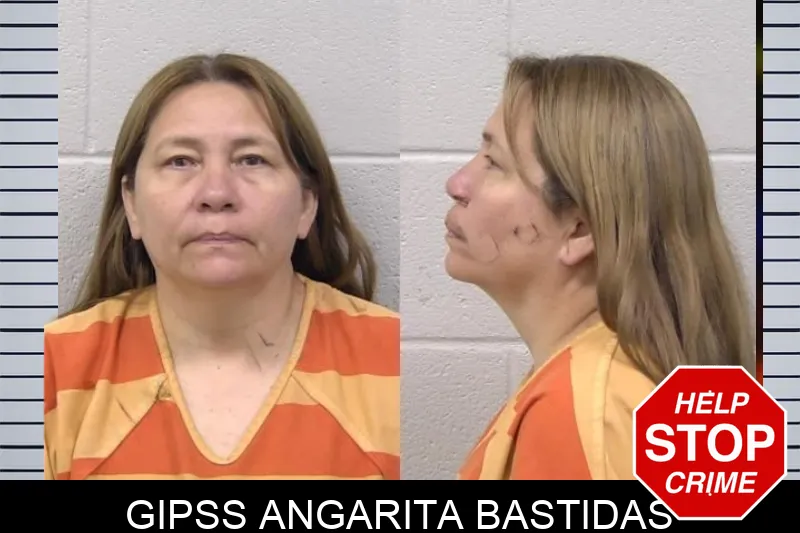 Gipss Angarita Bastidas