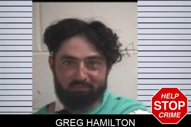 Greg Hamilton