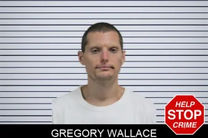 Gregory Wallace mugshot