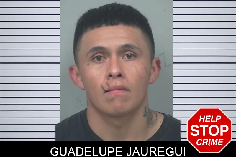 Guadelupe Jauregui Mugshots