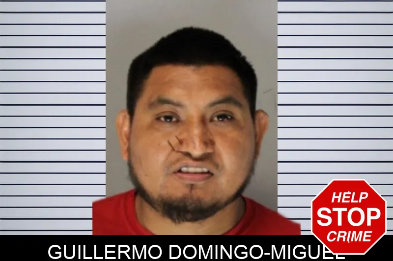 Guillermo Domingo-Miguel mugshot – Hall County , Georgia Guillermo Domingo-Miguel mugshot