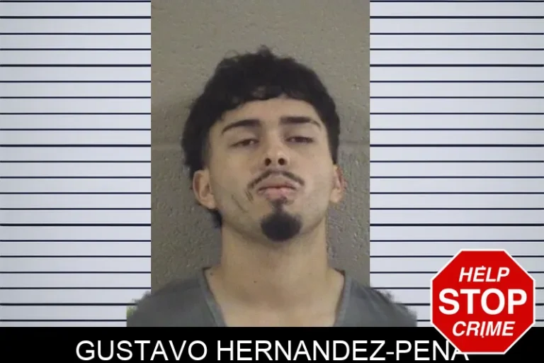 Gustavo Hernandez-Pena