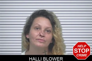 Halli Blower mugshot