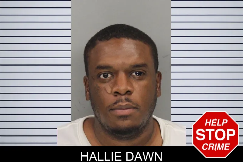 Hallie Dawn mugshot