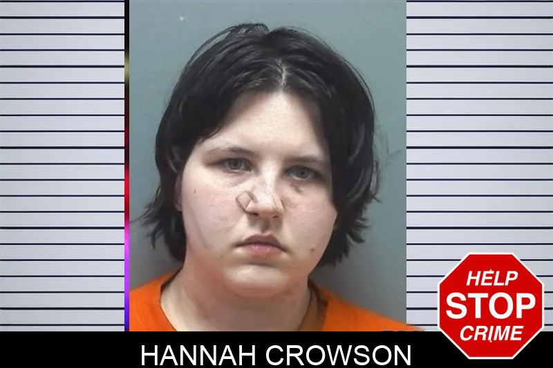 Hannah Crowson mugshot – Cherokee County , Georgia Hannah Crowson mugshot