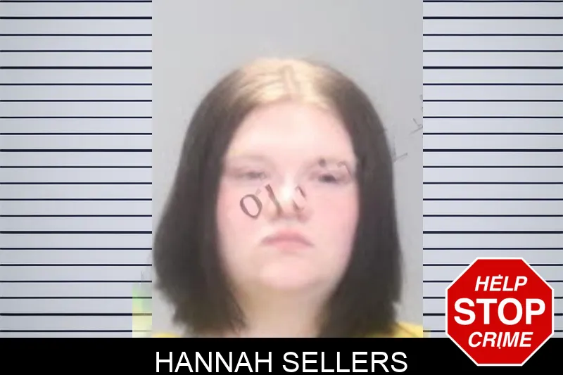 Hannah Sellers mugshot – Muscogee County , Georgia Hannah Sellers mugshot