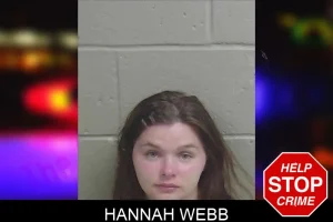 Hannah Webb mugshot
