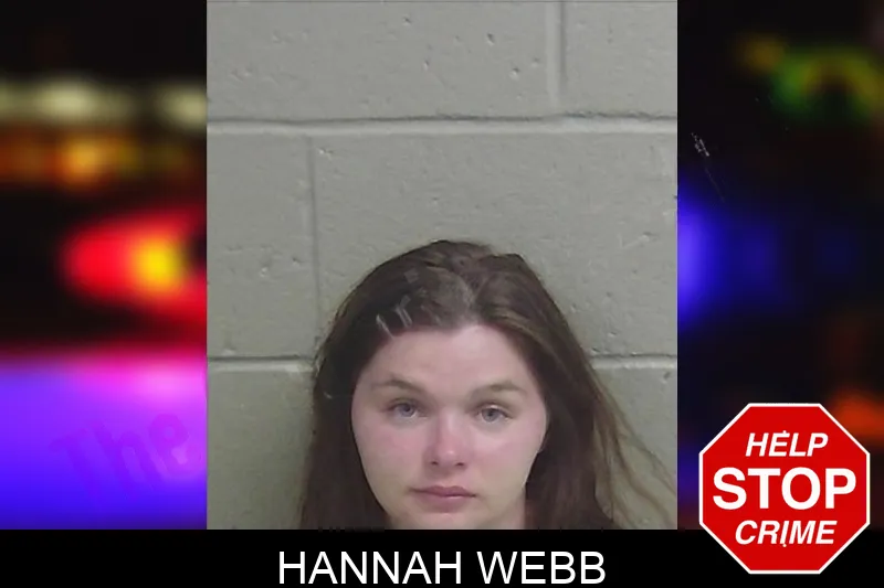 Hannah Webb Mugshots