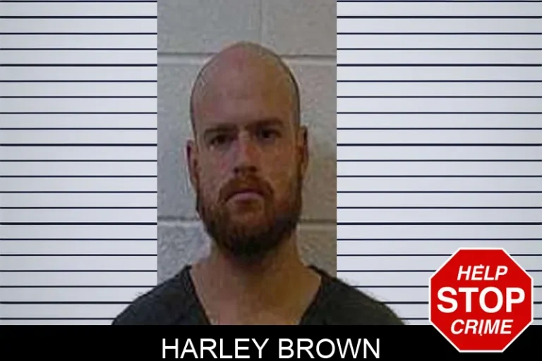 Harley Brown
