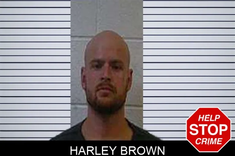 Harley Brown