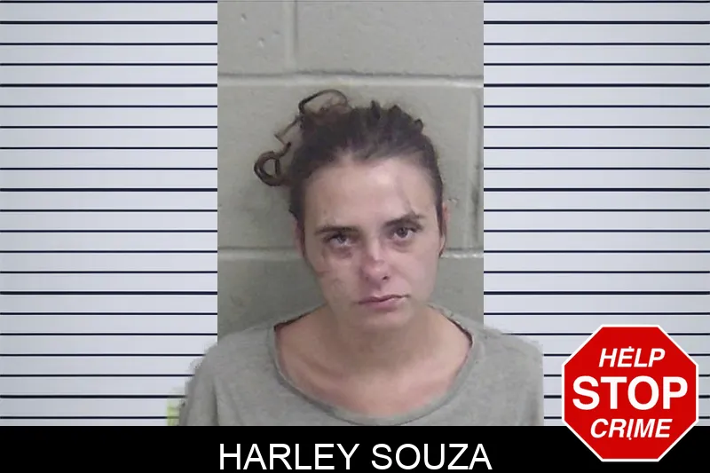 Harley Souza Mugshots