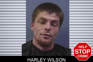 Harley Wilson mugshot