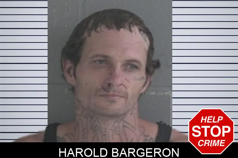 Harold Bargeron Mugshots