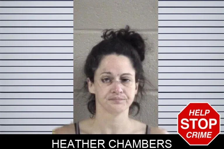 Heather Chambers