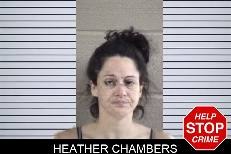 Heather Chambers Mugshots