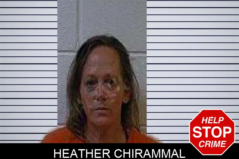 Heather Chirammal Mugshots