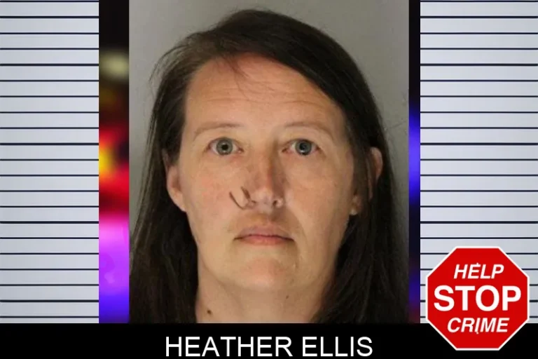 Heather Ellis mugshot – Hall County , Georgia Heather Ellis