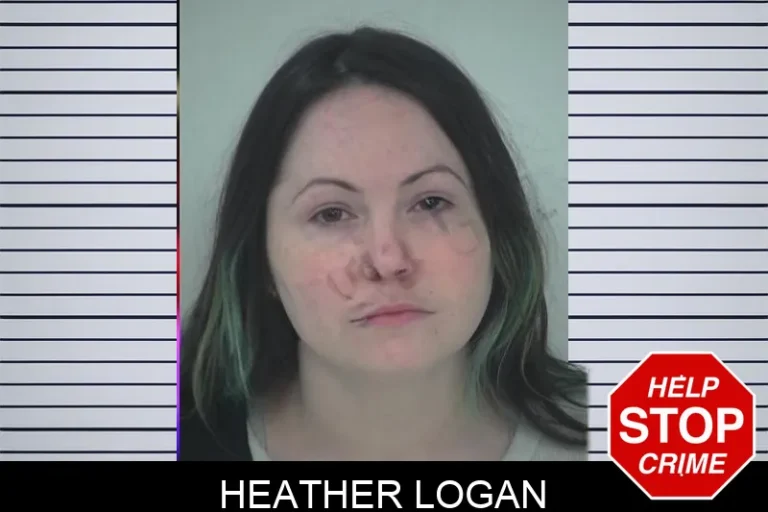 Heather Logan mugshot – Fayette County , Georgia Heather Logan
