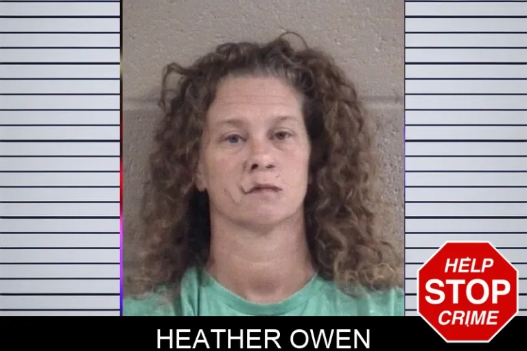 Heather Owen mugshot – Whitfield County , Georgia Heather Owen
