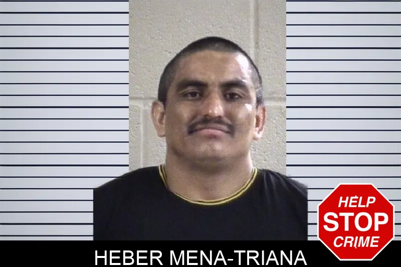 Heber Mena-Triana Mugshots