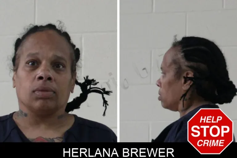 Herlana Brewer mugshot – Houston County , Georgia Herlana Brewer