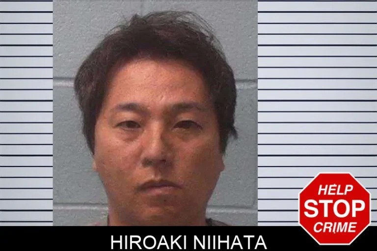Hiroaki Niihata
