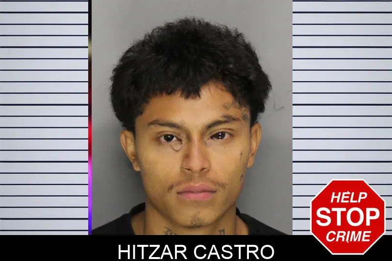 Hitzar Castro Mugshots