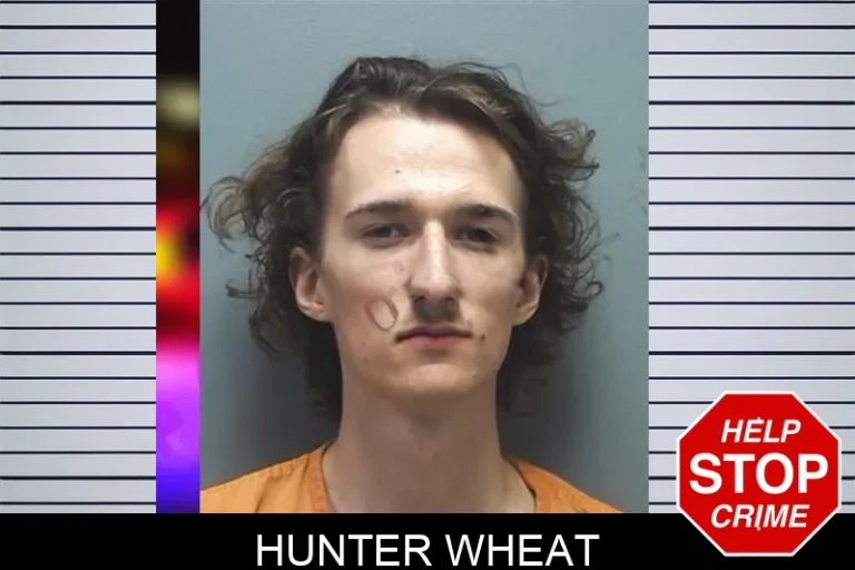 Hunter Wheat