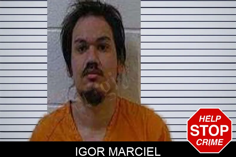 Igor Marciel Mugshots