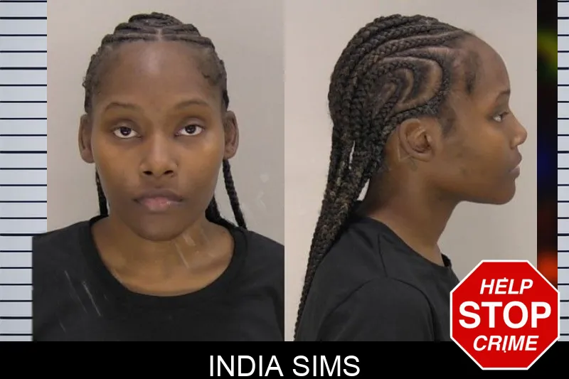 India Sims Mugshots