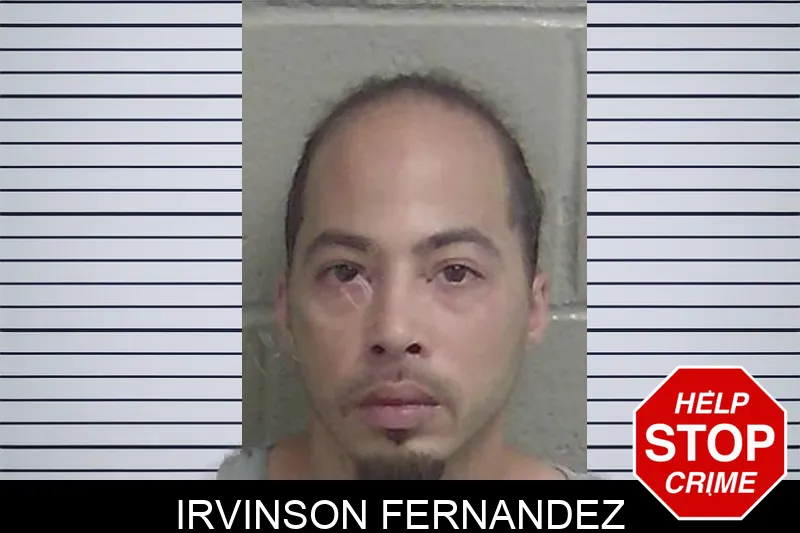 Irvinson Fernandez Mugshots
